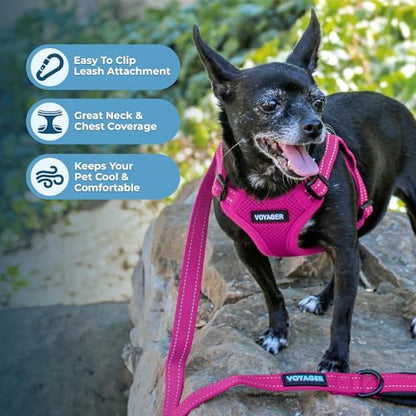 Best Pet Supplies Voyager Adjustable Step-in Flex Breathable Mesh Dog Harness for Small Medium Large Dogs (Fuchsia), L - color: Harness (Fuchsia), size: L