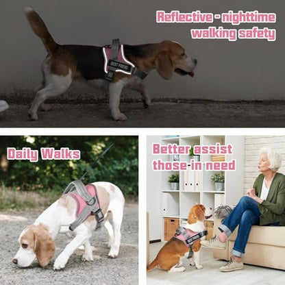 AUROTH Dog Harness and Leash Set, Soft Padded Service Dog Vest with 5.25FT Dog Leash, No Choke, Easy On Pet Vest, Adjustable Reflective No Pull Dog Harness for Large Dogs, Easy Walking and Training - color: Pink, size: Large