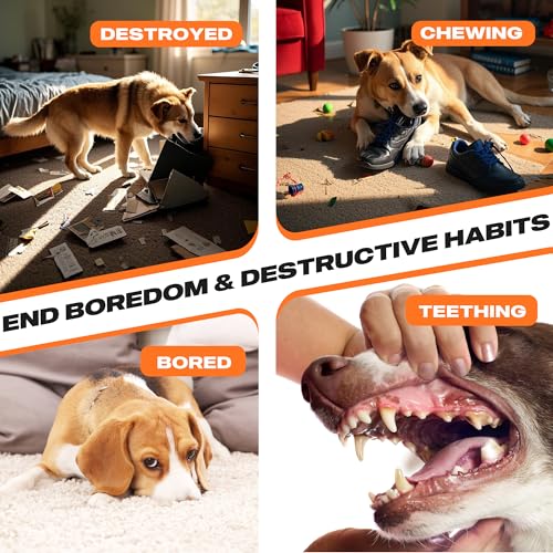 Fida 2-in-1 Puppy Teething Toys, Natural Rubber Chew Toys for Dogs to Keep Them Busy & Plush Toys with Crinkle Leaves, Interactive Dog Toys for Small Medium Breeds and Puppies.(Carrot) - color: Orange Carrot