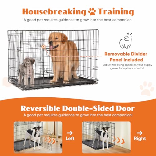 Sweetcrispy Dog Crate, 42 Inch Double Door Folding Metal Wire Dog Cage with Plastic Leak-Proof Pan Tray, Large XL Pet Kennel for Indoor, Outdoor, Travel - size: 42.1"L x 26.8"W x 28.7"H, style: Double Door