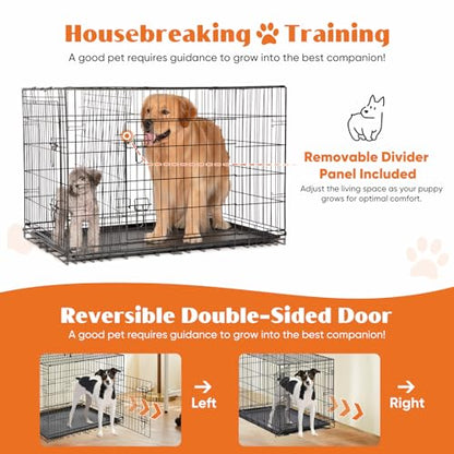 Sweetcrispy Dog Crate, 42 Inch Double Door Folding Metal Wire Dog Cage with Plastic Leak-Proof Pan Tray, Large XL Pet Kennel for Indoor, Outdoor, Travel - size: 42.1"L x 26.8"W x 28.7"H, style: Double Door