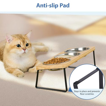 Hannadepot Elevated Cat Bowls, 15° Tilted Raised Cat Food and Water Bowl, Anti-Vomit & Whisker-Friendly Design, 3 Stainless Steel Bowls for Cats and Small Dogs