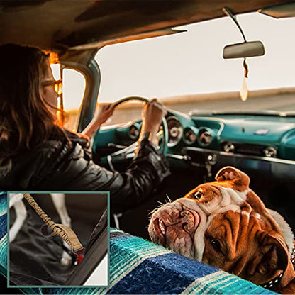 BUMBIN 6Ft Dog Leash Large Dogs, Bungee Dog Leash with 2 Handles, Heavy Duty Leashes for Medium Small Dogs, No Pull Shock Absorbing ，with Car Seat Belt for Training, Brown - color: Brown