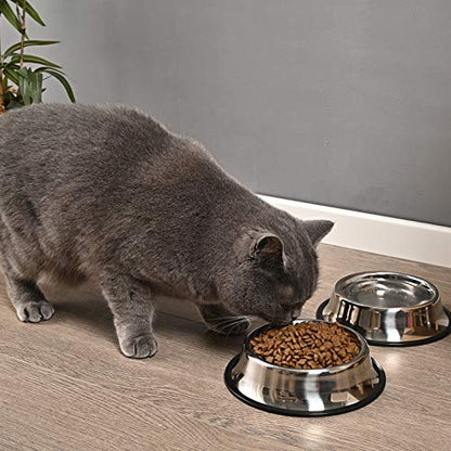 2Packs Stainless Steel Dog Bowl with Anti-Skid Rubber Base for Small/Medium/Large Pet, Perfect Dish, Pets Feeder and Water Choice Puppy Cat Kitten (8oz) - size: 8oz