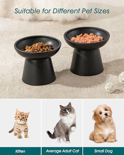 vancasso Elevated Cat Food Bowls 2-Pack, 6.2" Wide Shallow Cat Feeding Bowl for Whisker Fatigue, 5.1" Height Ceramic Raised Food Bowls for Senior Cats, Anti Vomit, Black - color: Black-Food 2-pack