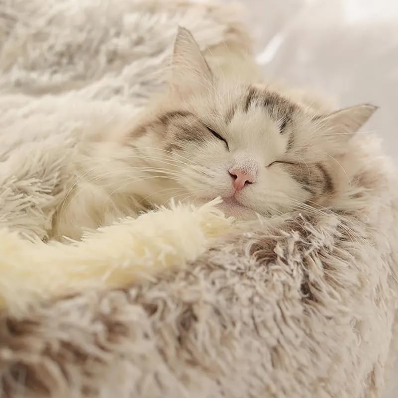 Cat Bed Round Fluffy Hooded Cat Bed Cave, Anti-Anxiety Cave Bed with Hooded Blanket, Cozy Cuddler Luxury Puppy Pet Bed, Anti-Slip Bottom and Machine Washable (Coffee, Large) - color: Coffee, size: Large
