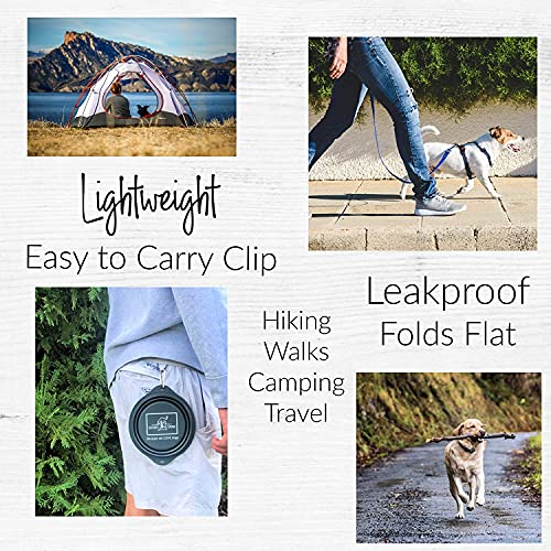 Lucky Love Dog Travel Bowl, Collapsible Compact Water Dog Dish (Grass) - color: Grass