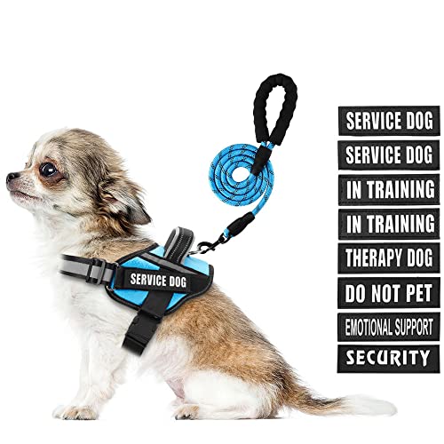 Service Dog Vest Harness and Leash Set, Animire in Training Dog Harness with 10 Dog Patches, Reflective Dog Leash with Soft Padded Handle for Dogs (Light Blue,Xs) - color: Light Blue, size: XS