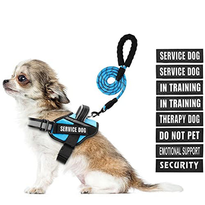 Service Dog Vest Harness and Leash Set, Animire in Training Dog Harness with 10 Dog Patches, Reflective Dog Leash with Soft Padded Handle for Dogs (Light Blue,Xs) - color: Light Blue, size: XS