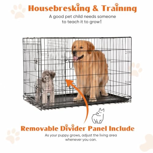 Dog Crate Kennel, 42 Inch Metal Pet Cage Double Door W/Divider Panel, Folding Travel Indoor Outdoor Dog Kennel Leak-Proof Plastic Tray Wire Animal Cage - size: 42.13"L x 26.77"W x 28.74"H