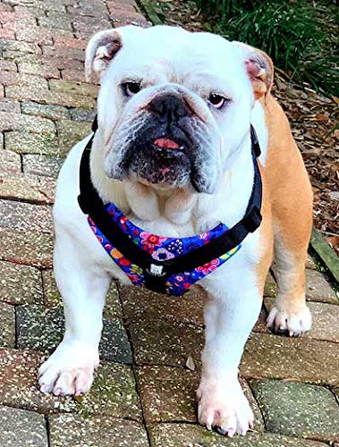 No-Pull Harness for English & French Bulldogs - Adjustable Wide-Chest Fit, Reflective Vest with Control Handle (Frisky Flowers, Large) - color: Frisky Flowers, size: Large