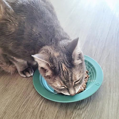 EcoLeo Whisker Friendly Cat Food Dish, Platinum Silicone, LFGB Certified Non-Toxic, Anti Whisker Fatigue, Low Profile, Shallow, Non Slip, Cat Dog Kitten Feeding Dish_Green - color: Sage