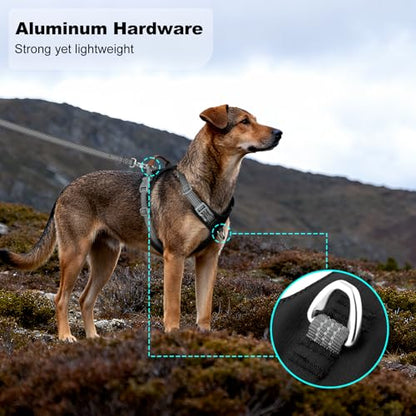 No Pull Dog Harness – Adjustable Reflective Nylon Vest for Small Medium Large Dogs, Escape Proof Training Harness with Leather Control Handle, Lightweight Aluminum Hardware (Black, XL) - color: Black, size: XL