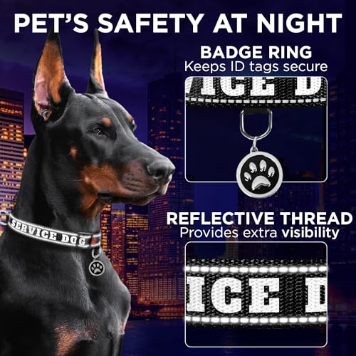 TECEUM Reflective Pet Collar – Black - Service Dog – XL – Extra Soft Padding – Basic Nylon Dog Collar – Quick Release Buckle – Fits Small, Medium and Large Dogs, Puppies, Cats - color: Black - Service Dog, size: X-Large