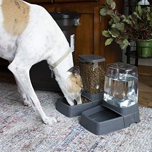 SportPet Gravity Feeder and Waterer, Large - color: Large Gray