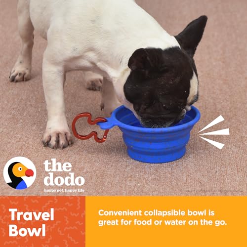 The Dodo Collapsible Dog Bowl, Blue; Travel Dog Bowl That Folds Flat and Clips with Carabiner for Easy Storage and Carry - color: Blue