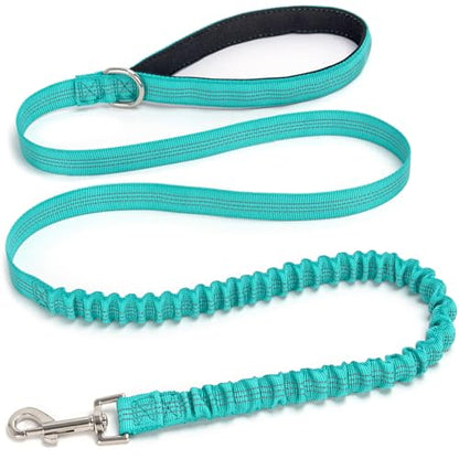 Bungee Dog Leash- 5FT Shock Absorbing & Reflective Nylon Leash | Anti-Pull Training for Small/Medium Dogs | 2cm Wide, 6 Colors (Turquoise) - color: Turquoise