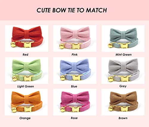 Personalized Cat Collar with Engraved Name and Phone Number - Customizable Kitten Collars for Boys and Girls (Stripe Velvet) - color: Stripe Velvet