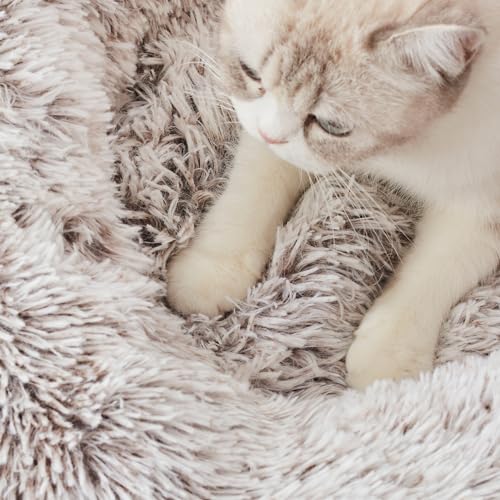 WESTERN HOME WH Calming Dog & Cat Bed, Anti-Anxiety Donut Cuddler Warming Cozy Soft Round Bed, Fluffy Faux Fur Plush Cushion Bed for Small Medium Dogs and Cats (20"/24"/27"/30") - color: White Khaki, size: 20.0"L x 20.0"W x 6.0"Th