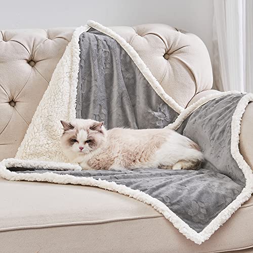 Qeils 1 Pack 6 Dog Blankets for Small Dogs - 6 pcs Waterproof Dog Blanket Washable - Soft Sherpa Fleece Puppy Blanket for Kitten Doggy, Warm Cat Blankets for Indoor Cats, 16"X23", Grey - color: Grey, size: 16"x23" (Pack of 6)
