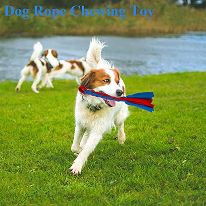 ASOCEA 2 Pack Dog Fleece Rope Toy for Dog Chase and Tug Pet Interactive Cotton Chew Toy Dog Tether Lure Toy Dog Flirt Pole Replacement Toys to Outdoor Exercise & Training - color: Blue+Green