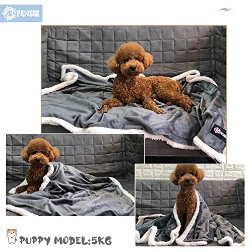 Dog Blankets for Small Dogs, Soft Puppy Blanket, Pet Blankets for Cats, Lightweight & Washable, Perfect for Dog Beds, Car Seats, Creat, 30x40 inches - color: Grey