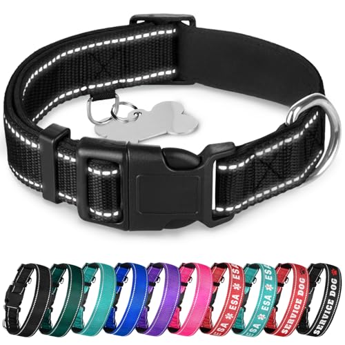 TECEUM Reflective Dog Collar – Black – XL – Extra Soft Padding – Basic Nylon Pet Collar – Quick Release Buckle – Fits Small, Medium and Large Dogs, Puppies, Cats – ESA & Service Dog Options - color: Black, size: X-Large