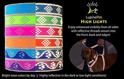 Lupine Reflective Dog Leash 6-Foot by 3/4" Wide Pink Paws - size: 3/4"w; 6-foot