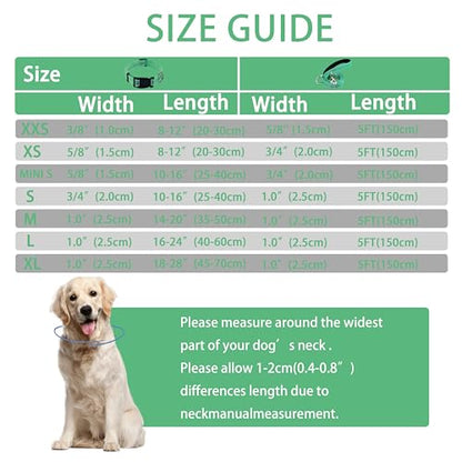 Reflective Dog Collar with Safety Locking Buckle, Adjustable Soft Breathable Nylon Collars for Small, Medium and Large Dogs(Collar+Leash XS Width 3/8" Turquoise) - color: Turquoise, size: XX-Small (Width 3/8")