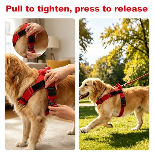 No Pull Dog Harness, Arcolma,Made to Roam Collar Design with Breathable Neoprene Padding, Y-Shaped Anti-Choking, Double D-Ring Traction, High-Reflective Strips for Daily Walking & Outdoor Adventure（M） - size: Medium