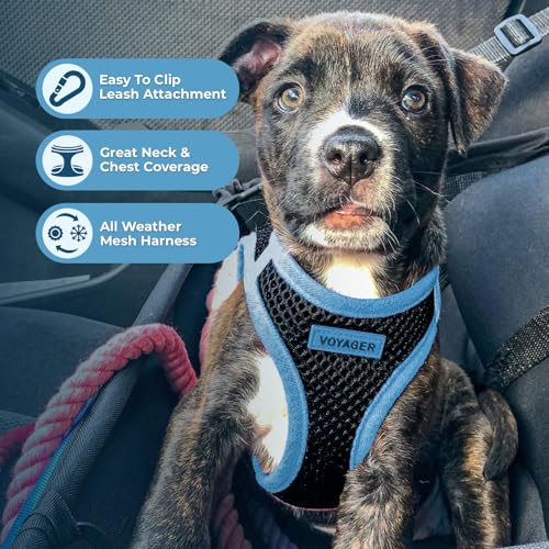 Best Pet Supplies - All Weather Mesh / Plush, Reflective, No Pull Harness for Small, Medium Dogs, Cats - Secure with Hook & Loop Fastener, Buckle, Double D-Rings - Army/Black Trim, L
