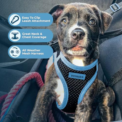 Best Pet Supplies - All Weather Mesh / Plush, Reflective, No Pull Harness for Small, Medium Dogs, Cats - Secure with Hook & Loop Fastener, Buckle, Double D-Rings - Army/Black Trim, L