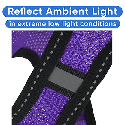 Pawtitas Reflective Mesh Puppy Dog Harness for Extra Extra Small Dogs – Adjustable | No Pull | Fits Neck 8 in Chest 12 in | XXS | Purple - color: Purple, size: 2 Extra Small