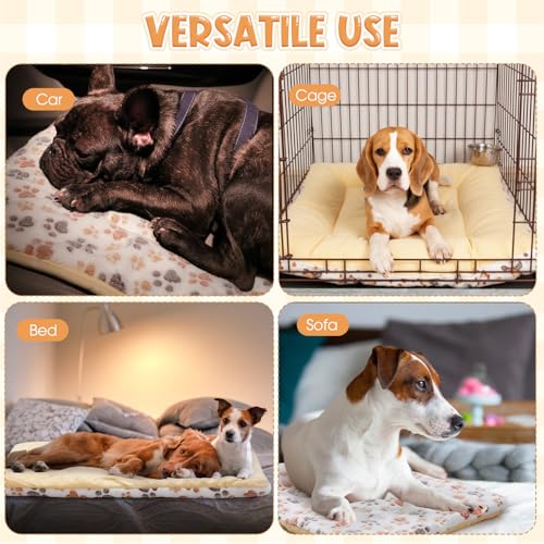 2 Pack Self Warming Cat Dog Bed Pet Mat 27" x 19" Soft Thermal Dog Pad with Cute Prints Reversible Washable Thickened Crate Mat for Indoor Outdoor Kittens Small Pets Feral(White) - color: White