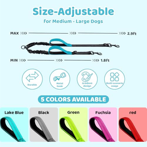 Double Dog Leash - No Tangle Splitter for Two Dogs, Coupler with Adjustable Long Lead Rope, Dual Control Handles, Retractable No Pull Bungee, Walk Train Small Medium Large 2 Pets (Blue) - color: Blue