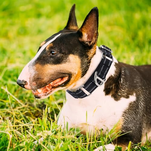 Martingale Collar for Small Dogs Reflective Nylon Dog Collar with Quick Release Buckle Adjustable Training No Slip Dog Collar (S, Black) - color: A, size: S