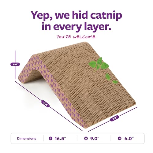 SmartyKat Scratch Ladder Angled Cat Scratcher with Catnip Infusion Technology, Versatile for Floor or Wall Use - color: Scratch Ladder