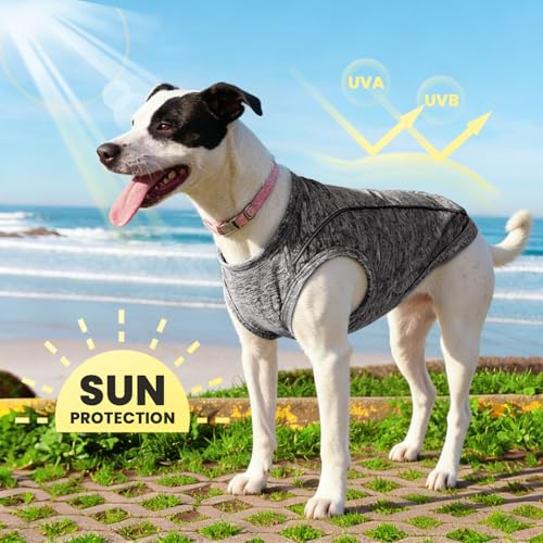 PETCARE Sun Protection Dog Shirts for Small Dogs Quick Dry Soft Stretchy Dog T-Shirts with Reflective Label Tank Top Sleeveless Vest Pet Clothes, Athletic Fabric, Black, XS (Chest 13" Length 9.8") - color: Black, size: XS ( Suggest 2-5 lbs)