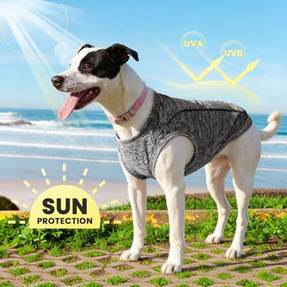 PETCARE Sun Protection Dog Shirts for Small Dogs Quick Dry Soft Stretchy Dog T-Shirts with Reflective Label Tank Top Sleeveless Vest Pet Clothes, Athletic Fabric, Black, S (Chest 15" Length 11.8") - color: Black, size: S ( Suggest 5-8 lbs)