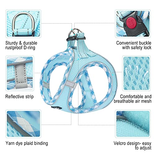 haapaw Dog Harness with Leash Set, No Pull Adjustable Reflective Step-in Puppy Harness with Thickened Padded Vest for Extra-Small/Small Medium Dogs - color: Turquoise, size: M