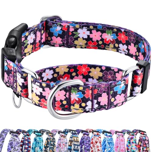 Reflective Martingale Collar for Dogs with Buckle Pretty Fancy Female Floral Dog Collars (Japanese Blossoms, Small) - color: Japanese Blossoms, size: Small