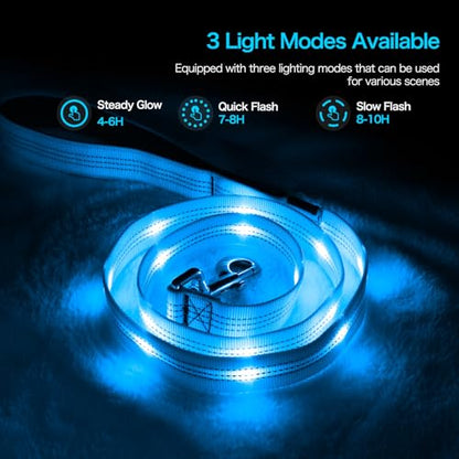 Weesiber Light Up Dog Leash, 4ft LED Dog Leash Rechargeable Safety Glow in The Dark Puppy Lead Safety Pet Lights for Night Walking (Blue) - color: Blue