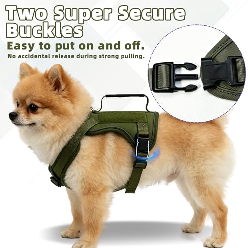 AIITLE Small Dog Harness No Pull, Reflective Adjustable Vest with Handle, No Choke Design, Dual Metal Leash Clips for Walking Training Running Camping, Small Medium Breeds - Green S - color: Green, size: S