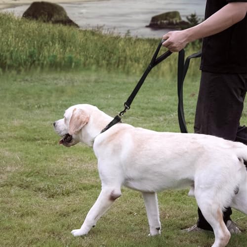 Wagtime Club Double Handle Dog Leash, 6ft Long Heavy Duty Dog Leash with Paded Traffic Handles for Extral Control and Training, Dual Handles Leads, Large Medium Small Dogs (Reflective Black) - color: Reflective Black