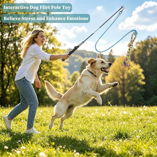Flirt Pole for Dogs Pet Teaser Wand Outdoor Interactive Pet Dog Flirt Pole Training Exercise Rope Toy for Small Medium Large Dogs Cats