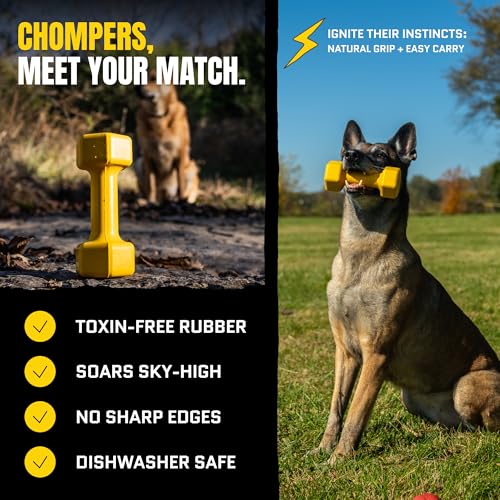 Virtually Indestructible Dog Dumbbell - Lifetime Replacement - Tough, Durable Chew Toy for Aggressive Chewers - Safe Non-Toxic Natural Rubber - Chew, Tug, Fetch - Med/Large Breed - 7"x2.5"