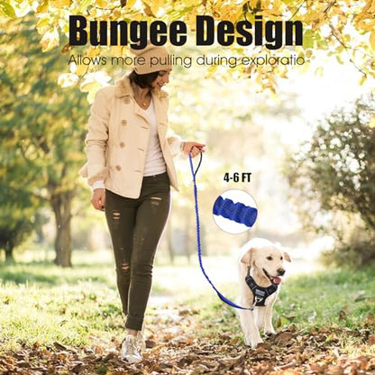 BUMBIN 6Ft Dog Leash - Large Dogs, Bungee Leash with 2 Handles, Heavy Duty, No Pull Shock Absorbing, Deep Blue - color: Deep Blue