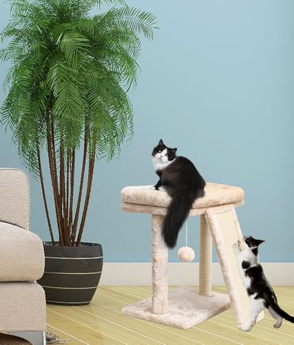 SYANDLVY Small Cat Tree with Scratching Post, Cat Scratching Board with Perch, Cat Post Scratcher for Indoor Cats, 2 Dangling Balls Great for Kittens (Beige) - color: Beige