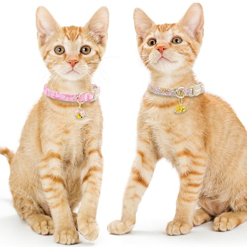 Faygarsle 2 Pack Pink Bow Floral Pattern Cat Collars Breakaway Safety Collar with Bell Spring Summer Design for Girl Cats,Pink Yellow - color: Pink Bow&Yellow Flower