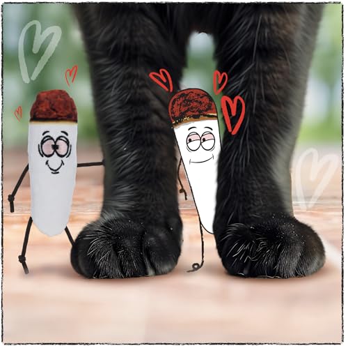 LIT LABS Kittie Doobs Adventure Toys - Funny Catnip Joints for Cats with Dried and Organic High Potency Catnip - Love Theme - style: Love